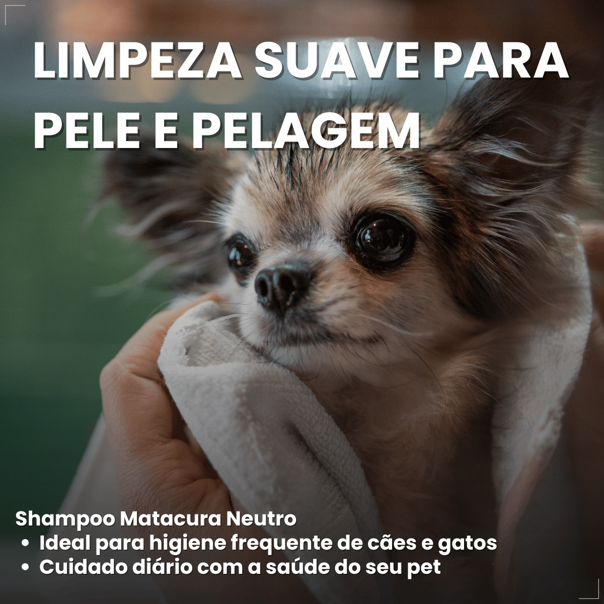 Shampoo Neutro Matacura para Cães e Gatos 200ml
