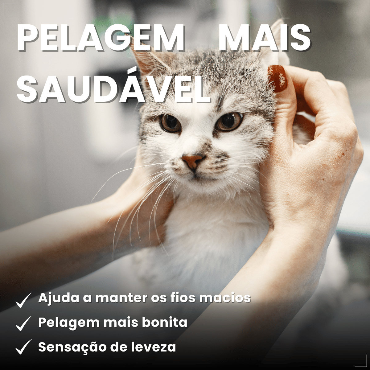 Shampoo Neutro Matacura para Cães e Gatos 200ml