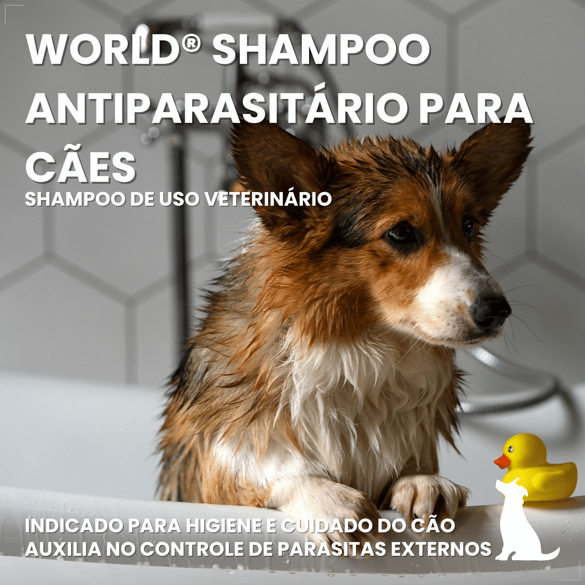Shampoo Para Cães Antipulgas Carrapato 500ml World