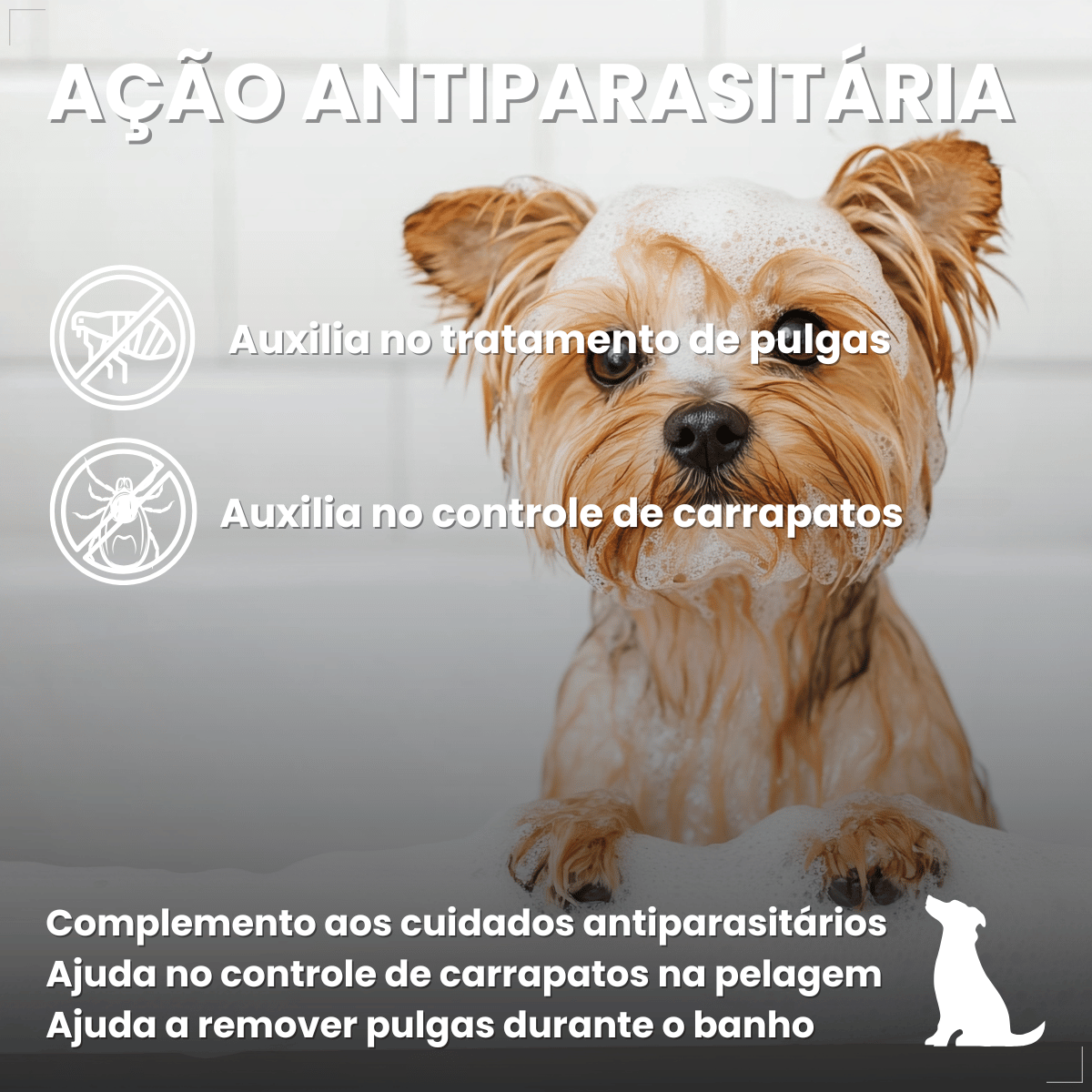 Shampoo Para Cães Antipulgas Carrapato 500ml World