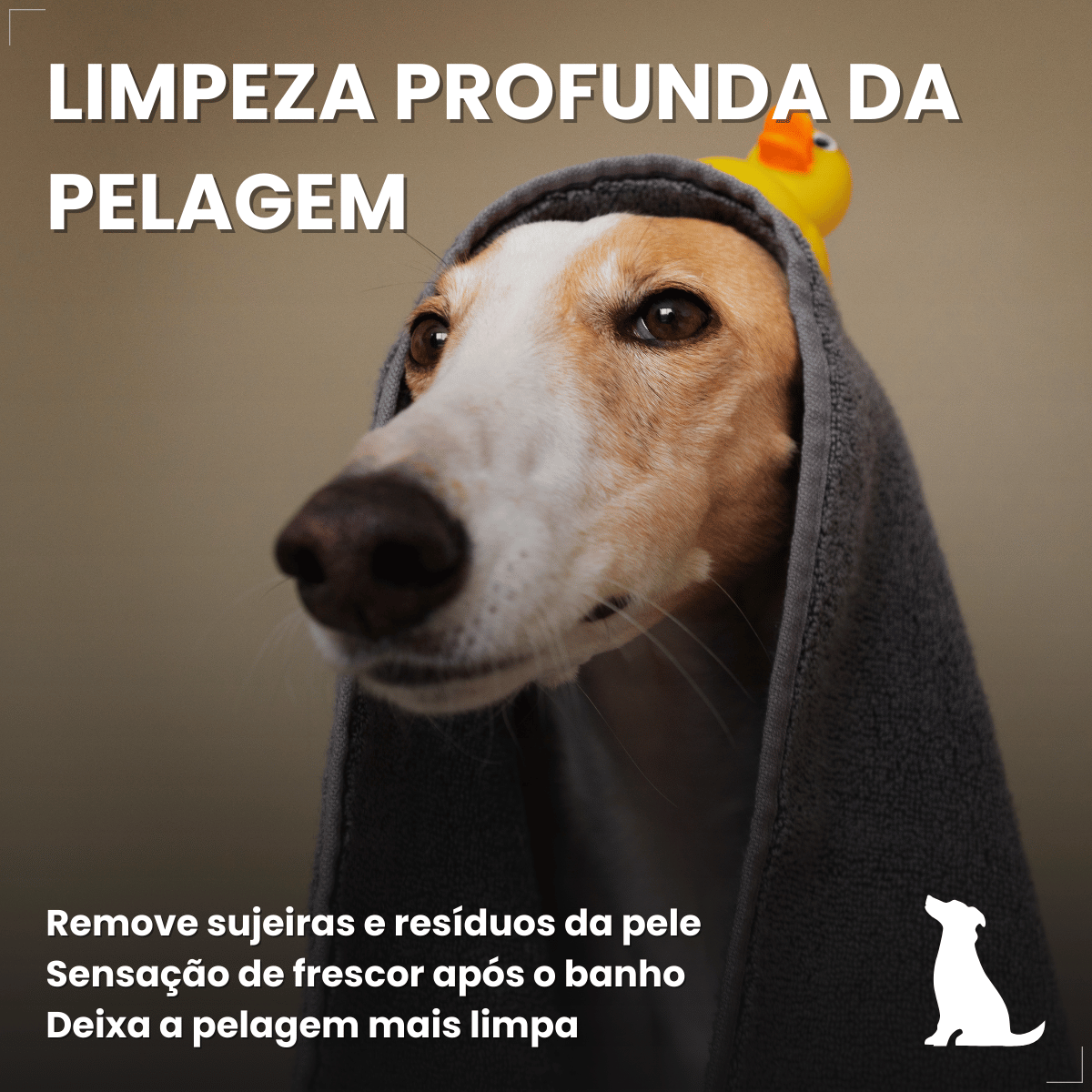 Kit 5 Shampoo Para Cães Antipulgas Carrapato 500ml World