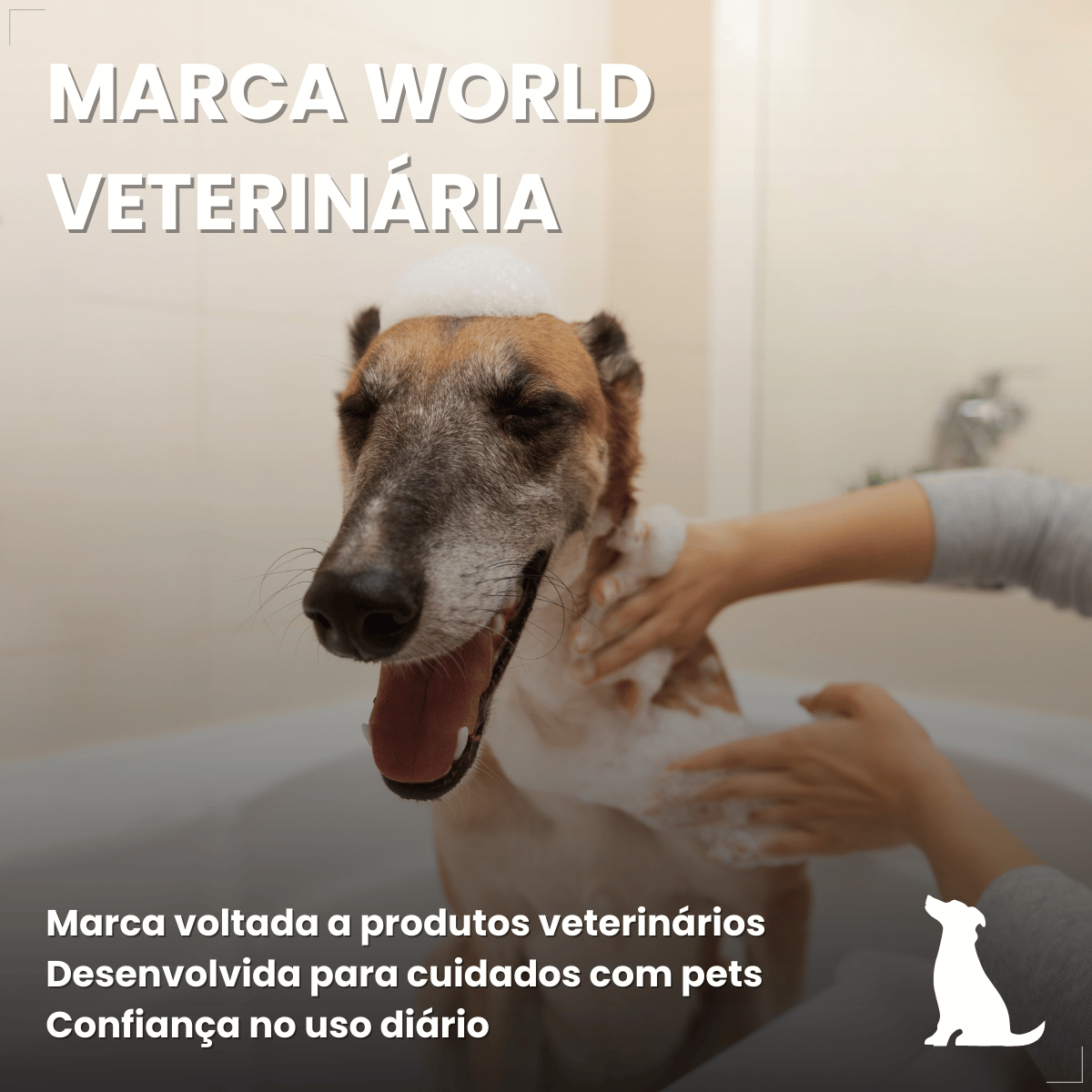 Kit 5 Shampoo Para Cães Antipulgas Carrapato 500ml World