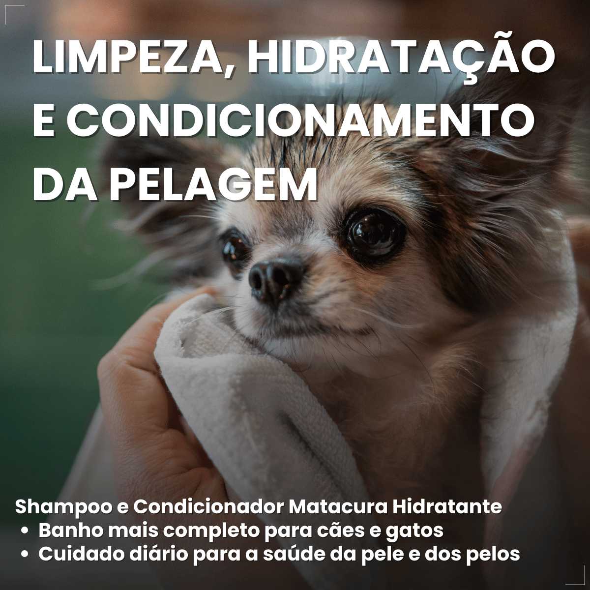 Matacura Shampoo 2 em 1 Cães e Gatos Fragrância Suave 200ml
