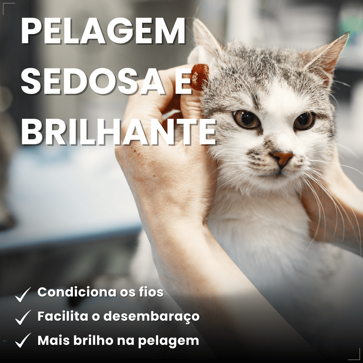 Matacura Shampoo 2 em 1 Cães e Gatos Fragrância Suave 200ml
