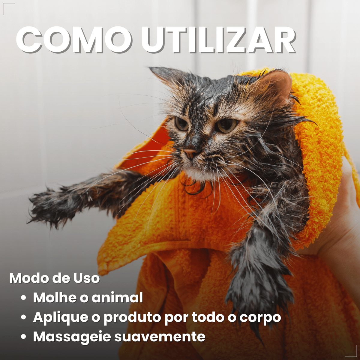 Matacura Shampoo 2 em 1 Cães e Gatos Fragrância Suave 200ml