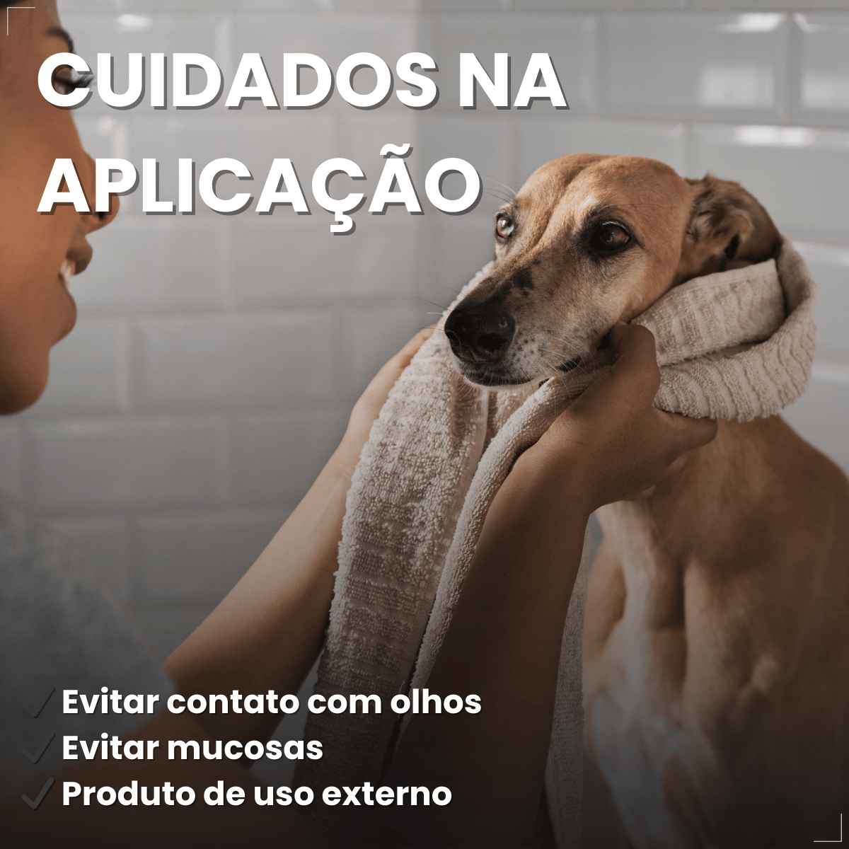 Matacura Shampoo 2 em 1 Cães e Gatos Fragrância Suave 200ml