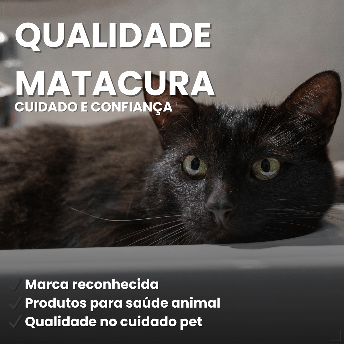 Matacura Shampoo 2 em 1 Cães e Gatos Fragrância Suave 200ml