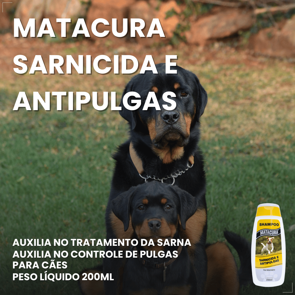 Shampoo Matacura Sarnicida e Anti-Pulgas para Cães 200ml