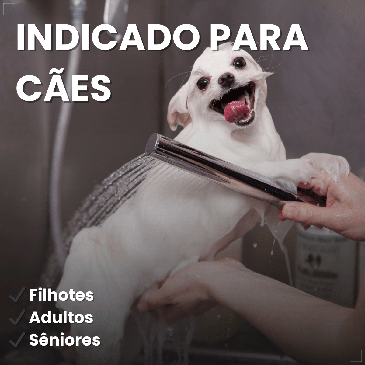 Shampoo Matacura Sarnicida e Anti-Pulgas para Cães 200ml