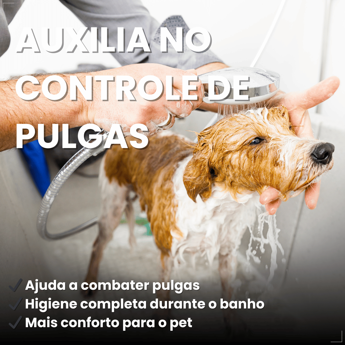 Shampoo Matacura Sarnicida e Anti-Pulgas para Cães 200ml