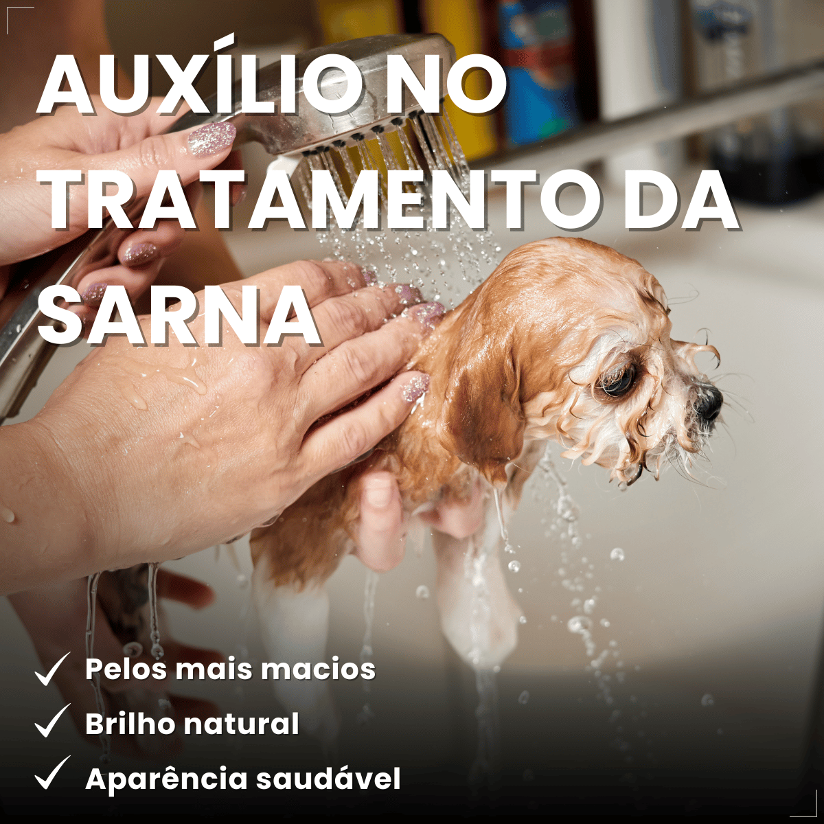 Shampoo Matacura Sarnicida e Anti-Pulgas para Cães 200ml
