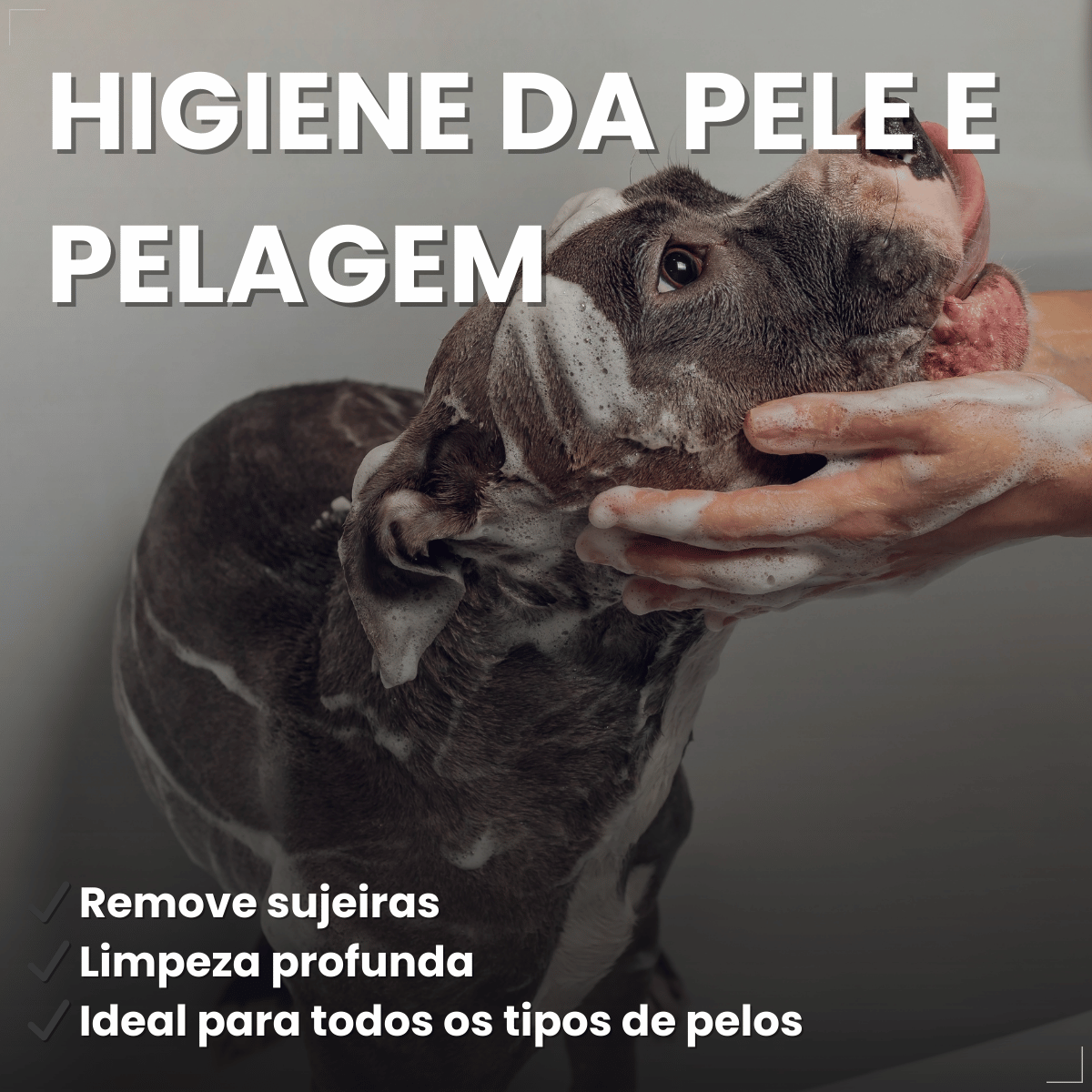 Shampoo Matacura Sarnicida e Anti-Pulgas para Cães 200ml