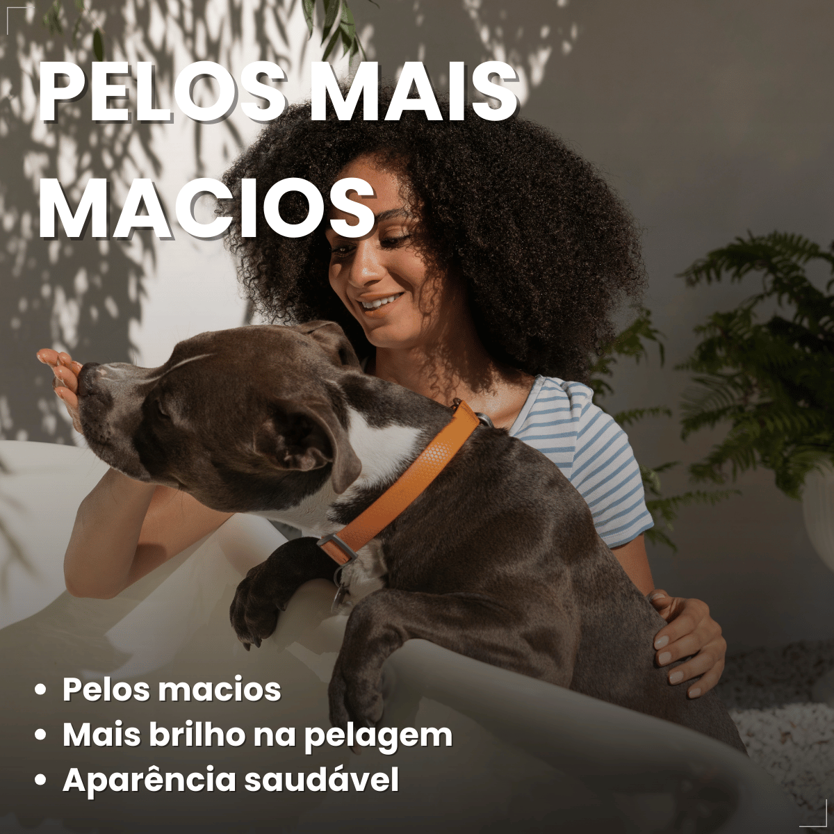 Shampoo Matacura Sarnicida e Anti-Pulgas para Cães 200ml