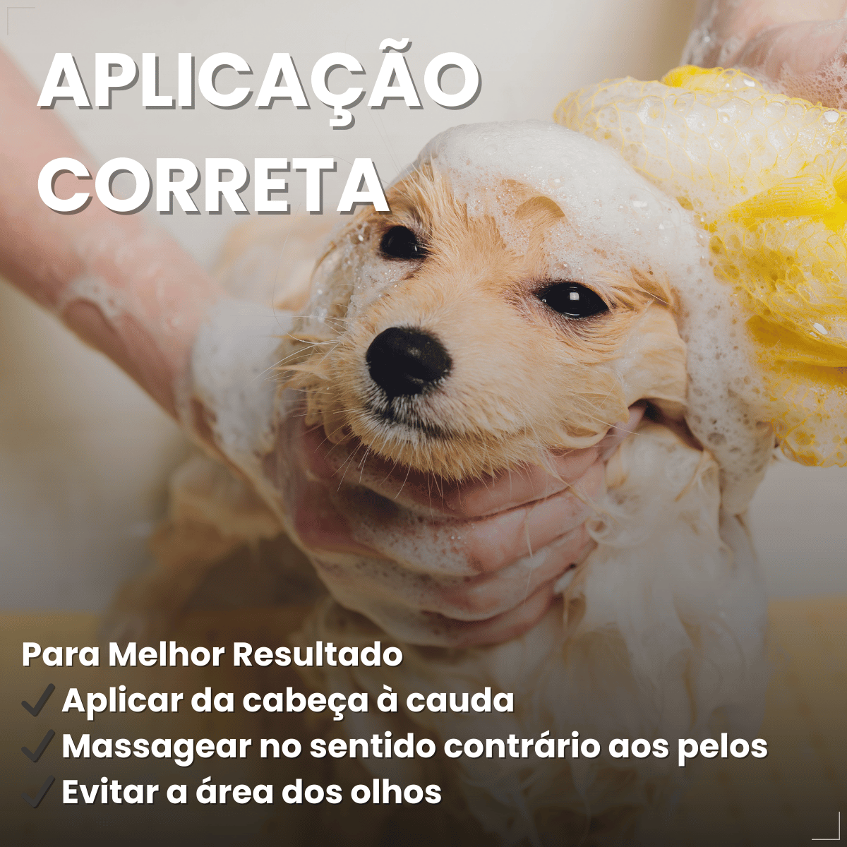 Shampoo Matacura Sarnicida e Anti-Pulgas para Cães 200ml