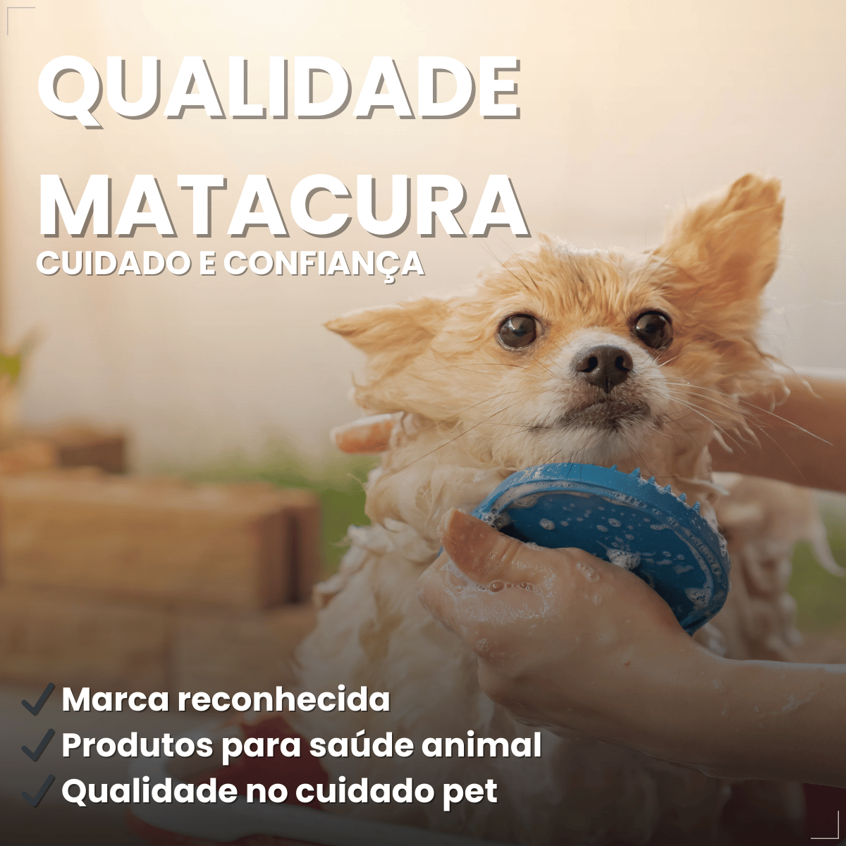 Shampoo Matacura Sarnicida e Anti-Pulgas para Cães 200ml