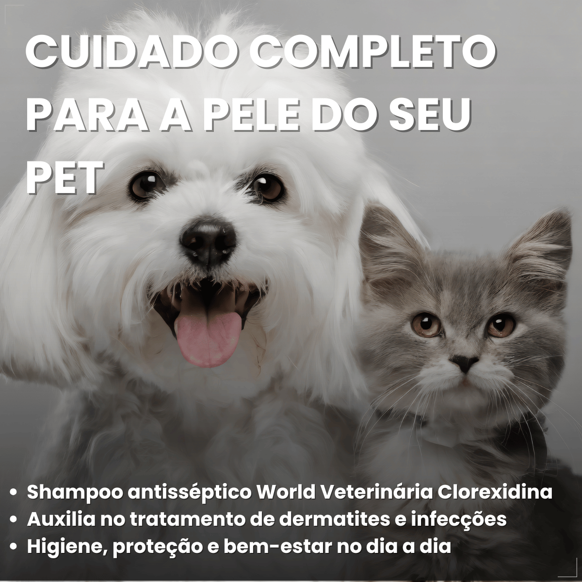 Kit 2 Shampoo Clorexidina Dugs Cães Anti Queda 500ml
