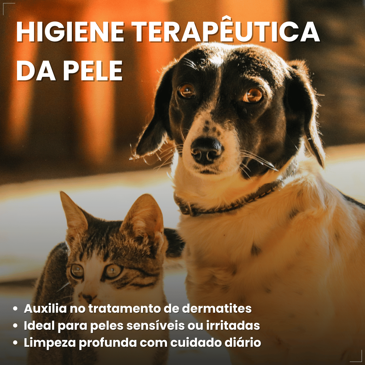 Kit 3 Shampoo Clorexidina Dugs Cães Anti Queda 500ml