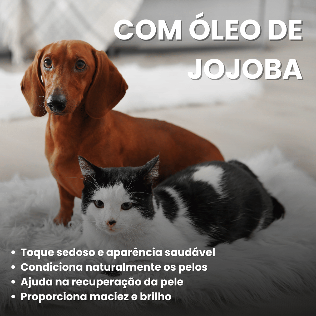 Kit 3 Shampoo Clorexidina Dugs Cães Anti Queda 500ml