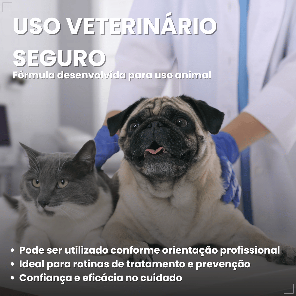 Kit 3 Shampoo Clorexidina Dugs Cães Anti Queda 500ml