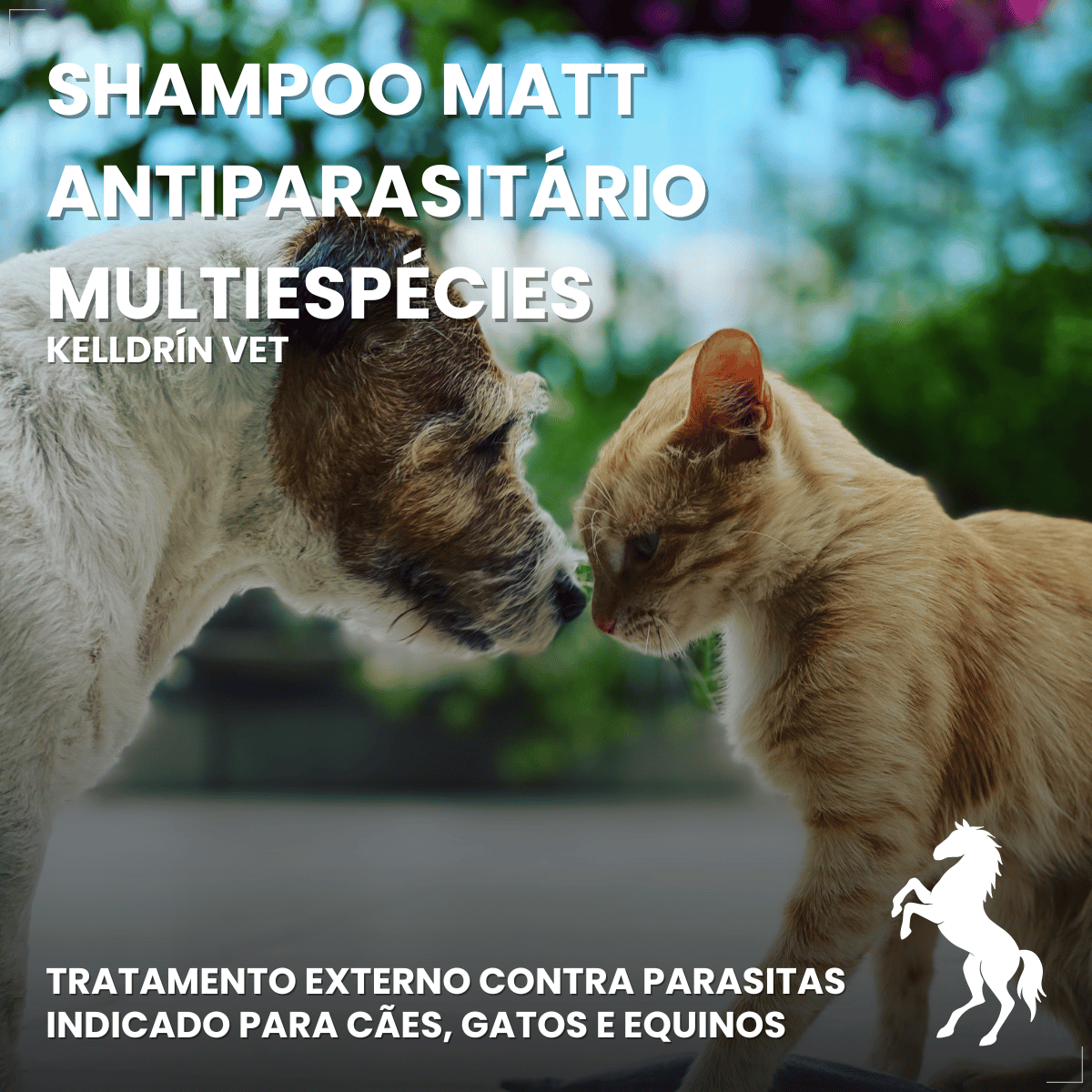Kit 2 Shampoo Antipulgas Carrapatos Piolho Sarna Matt 6 em 1 Cães Gatos