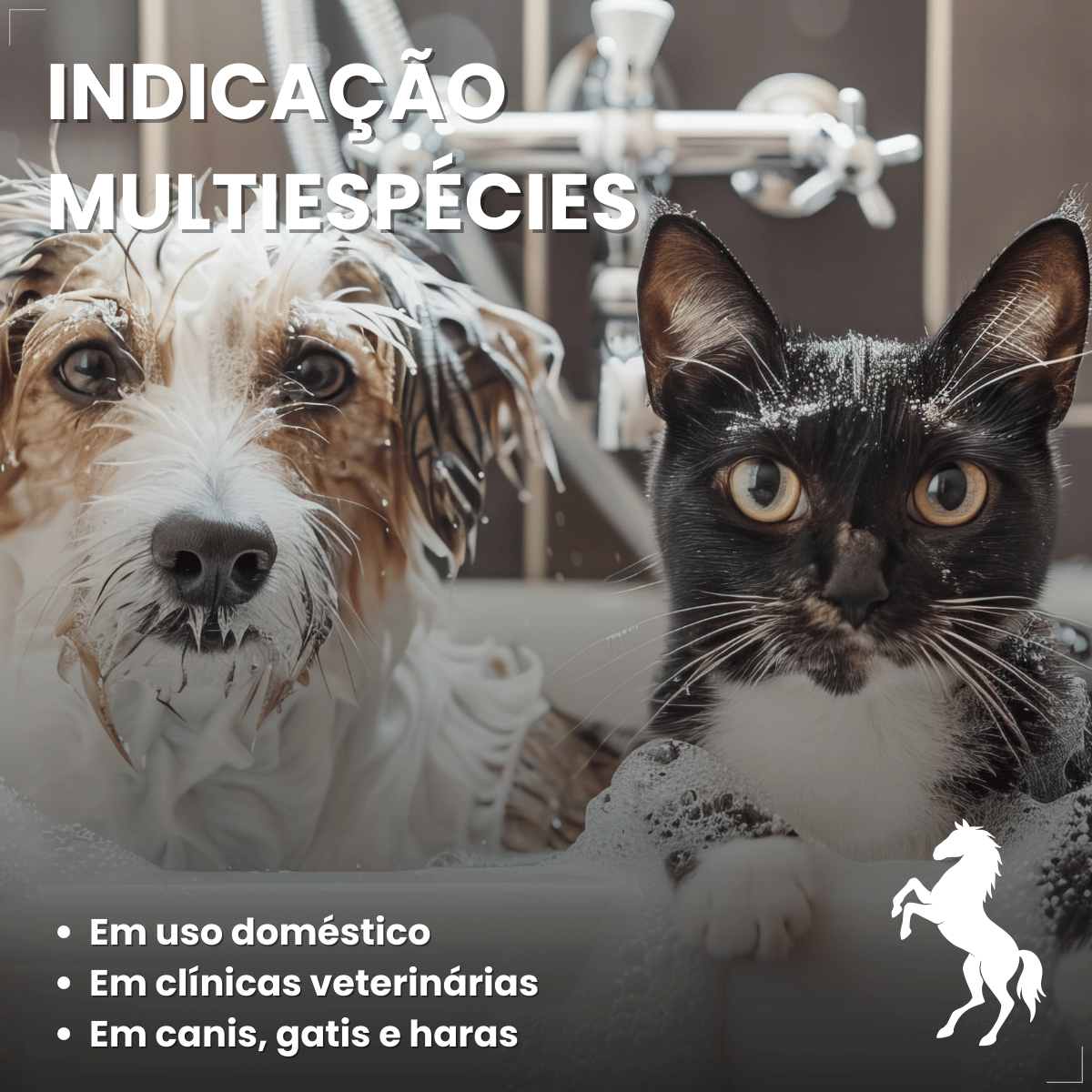 Kit 2 Shampoo Antipulgas Carrapatos Piolho Sarna Matt 6 em 1 Cães Gatos