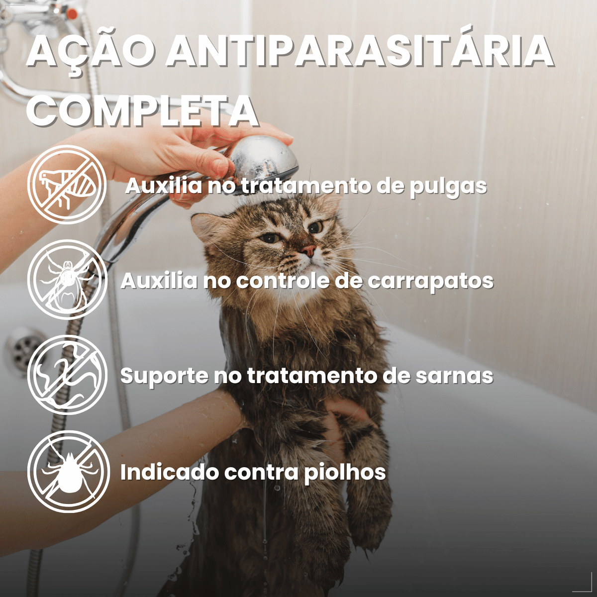 Kit 2 Shampoo Antipulgas Carrapatos Piolho Sarna Matt 6 em 1 Cães Gatos