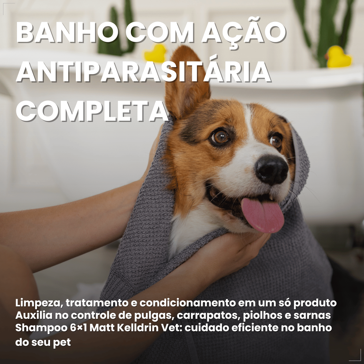 Kit 2 Shampoo Antipulgas Carrapatos Piolho Sarna Matt 6 em 1 Cães Gatos