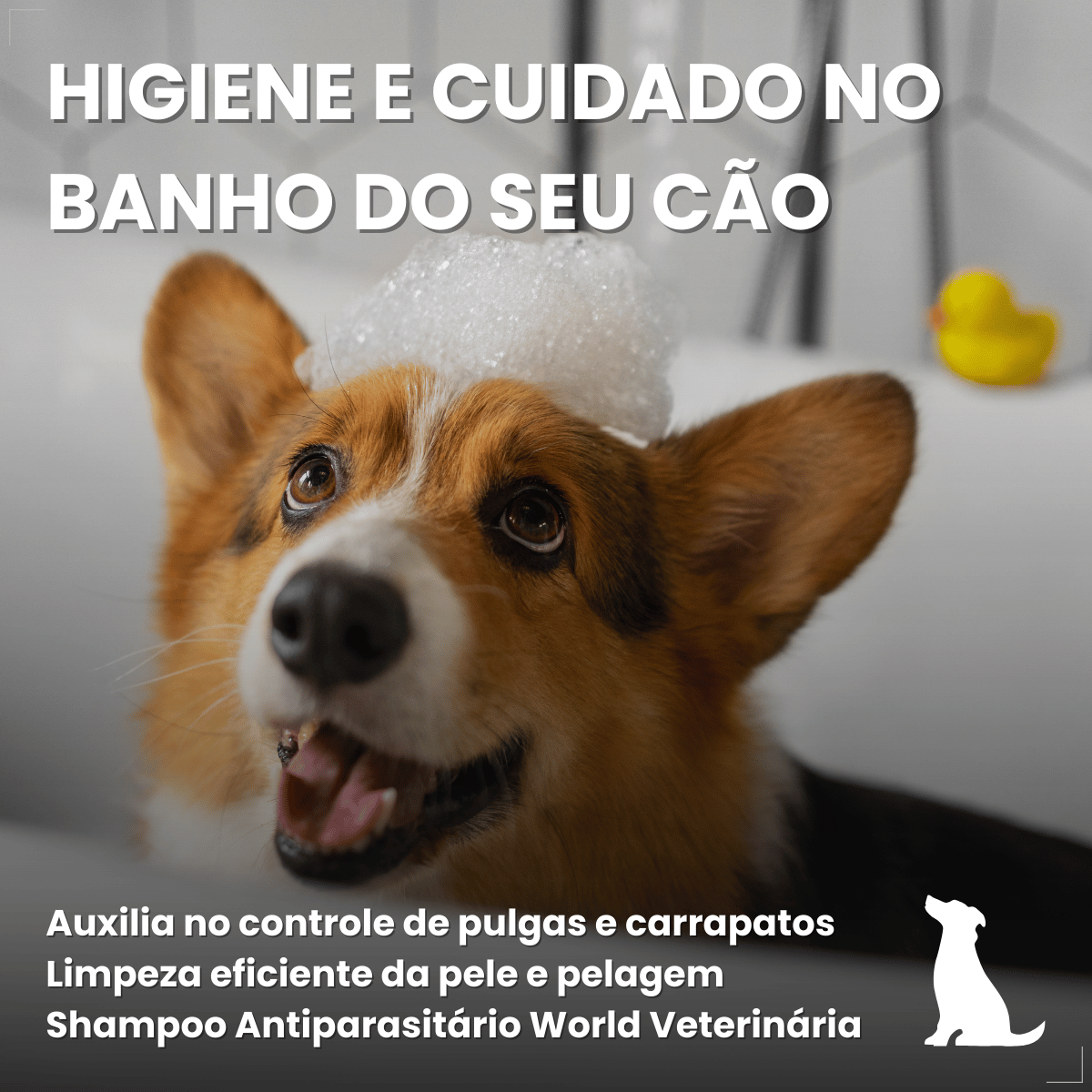 Kit 3 Shampoo Para Cães Antipulgas Carrapato 500ml World