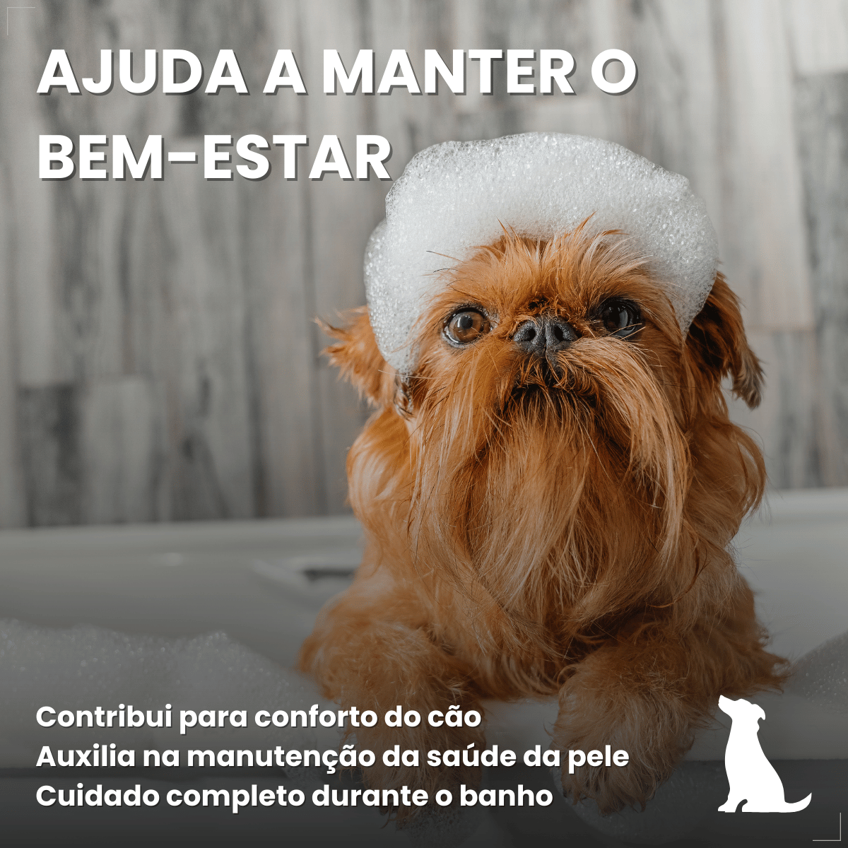 Kit 3 Shampoo Para Cães Antipulgas Carrapato 500ml World