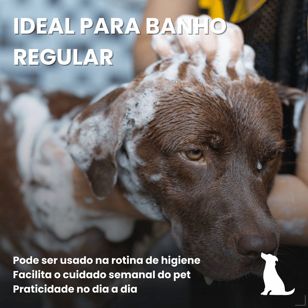Kit 3 Shampoo Para Cães Antipulgas Carrapato 500ml World
