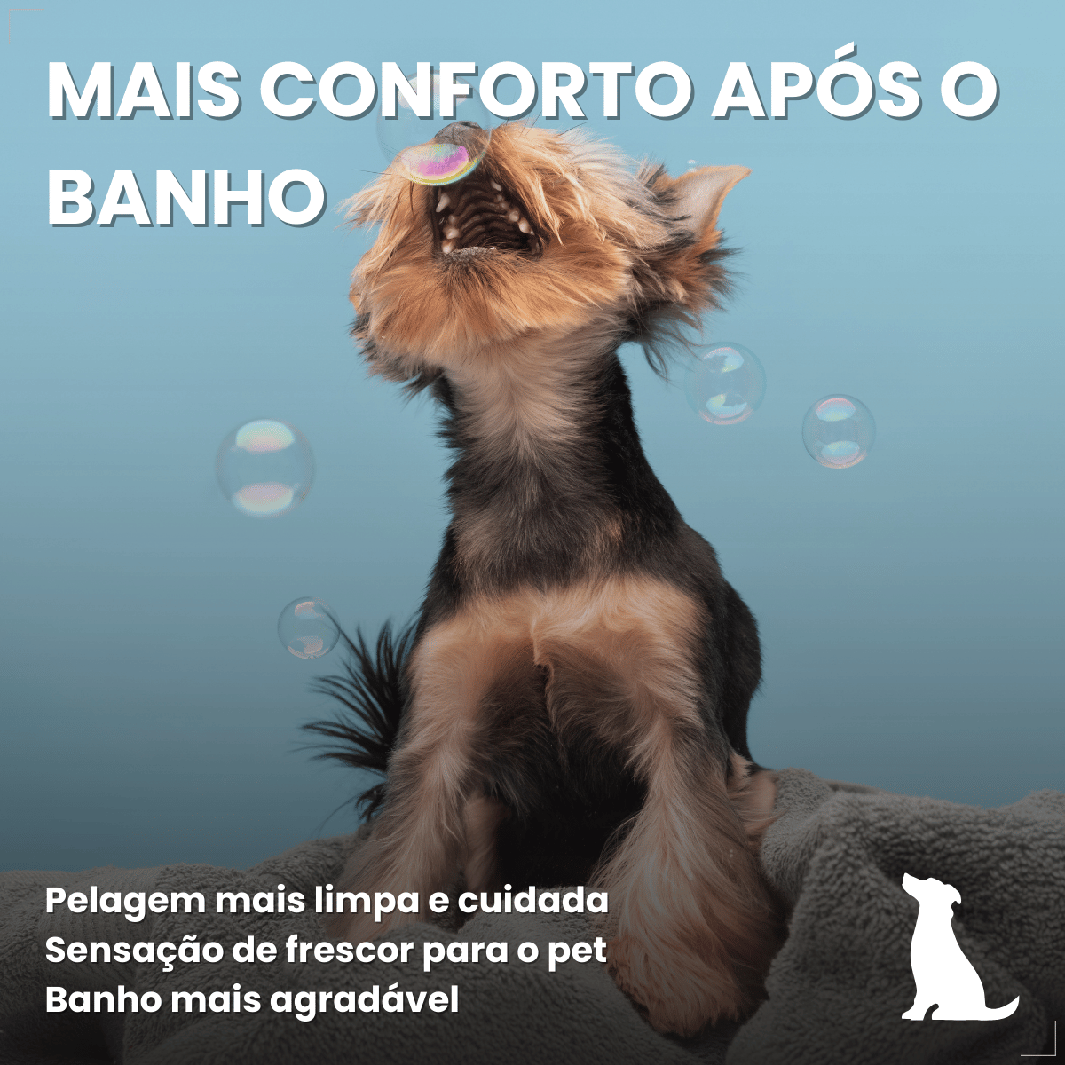 Kit 3 Shampoo Para Cães Antipulgas Carrapato 500ml World