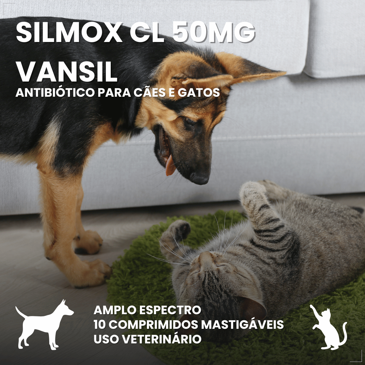Silmox Cl Vansil 50mg 10 Comprimidos Para Cães e Gatos
