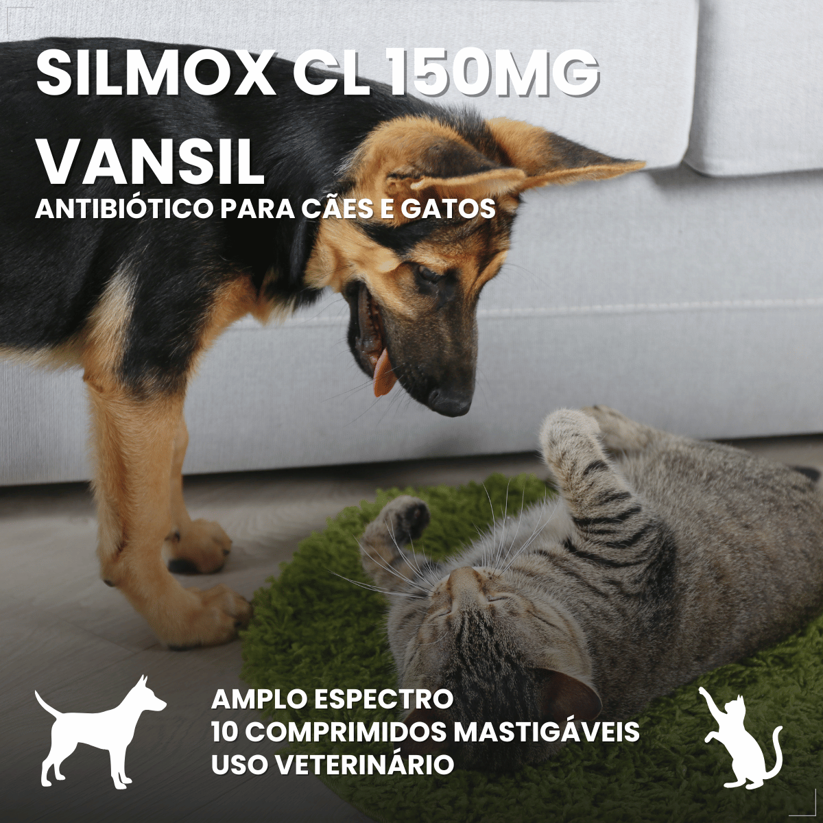 Silmox Cl Vansil 150mg 10 Comprimidos Para Cães e Gatos