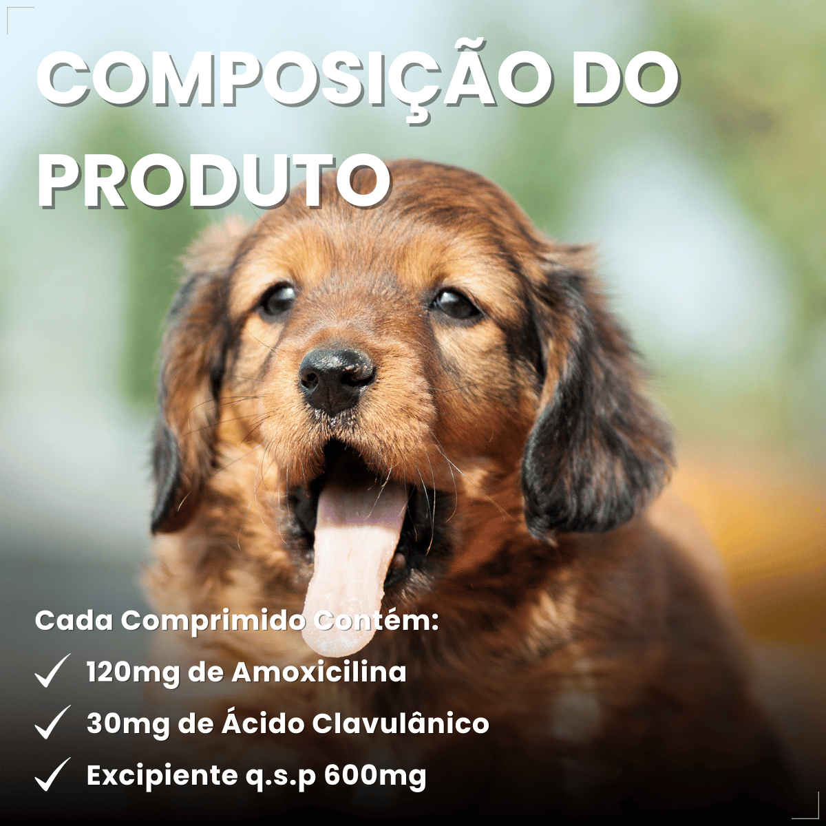 Silmox Cl Vansil 150mg 10 Comprimidos Para Cães e Gatos