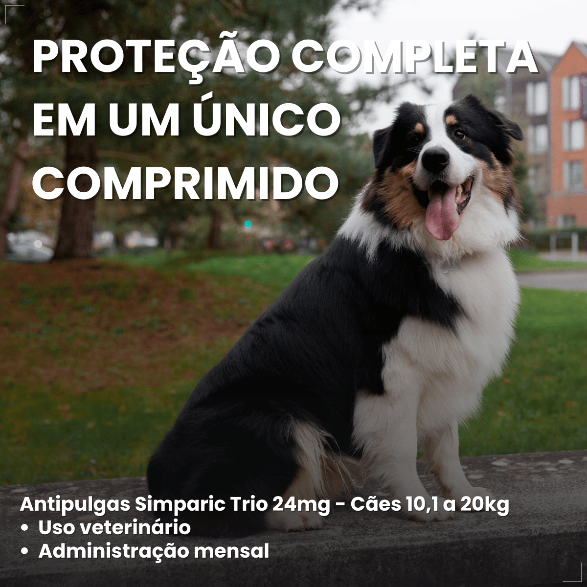 Simparic TRIO Cão 10,1 a 20kg Vermífugo Pulga Carrapato 1 Comprimido