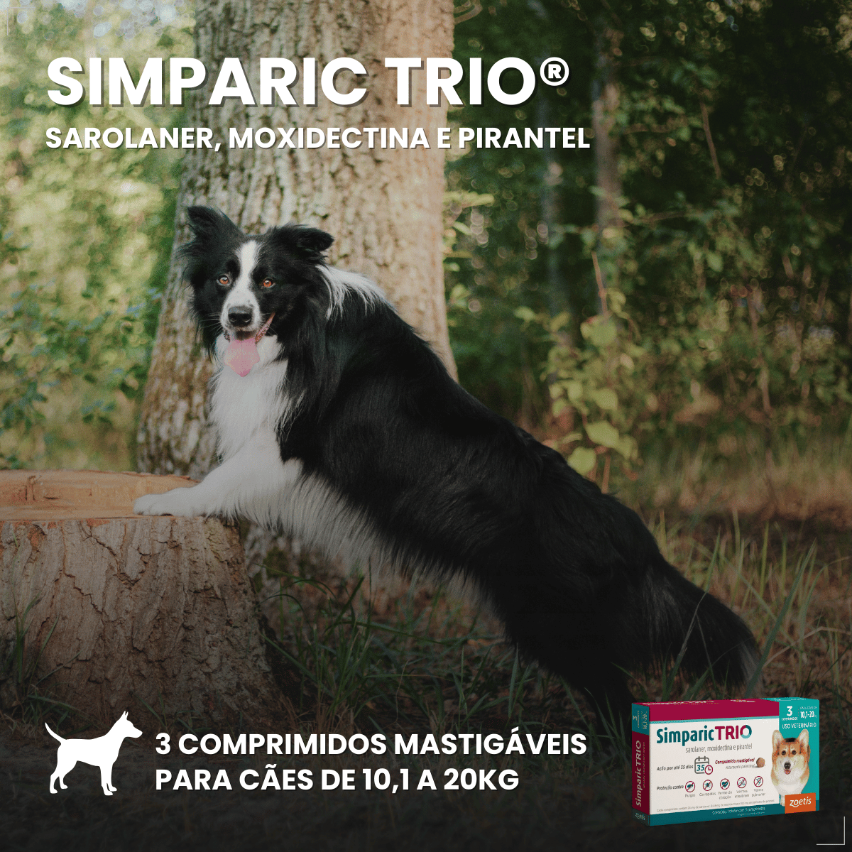 Simparic TRIO Cão 10,1 a 20kg Vermífugo Pulga Carrapato 3 Comprimidos