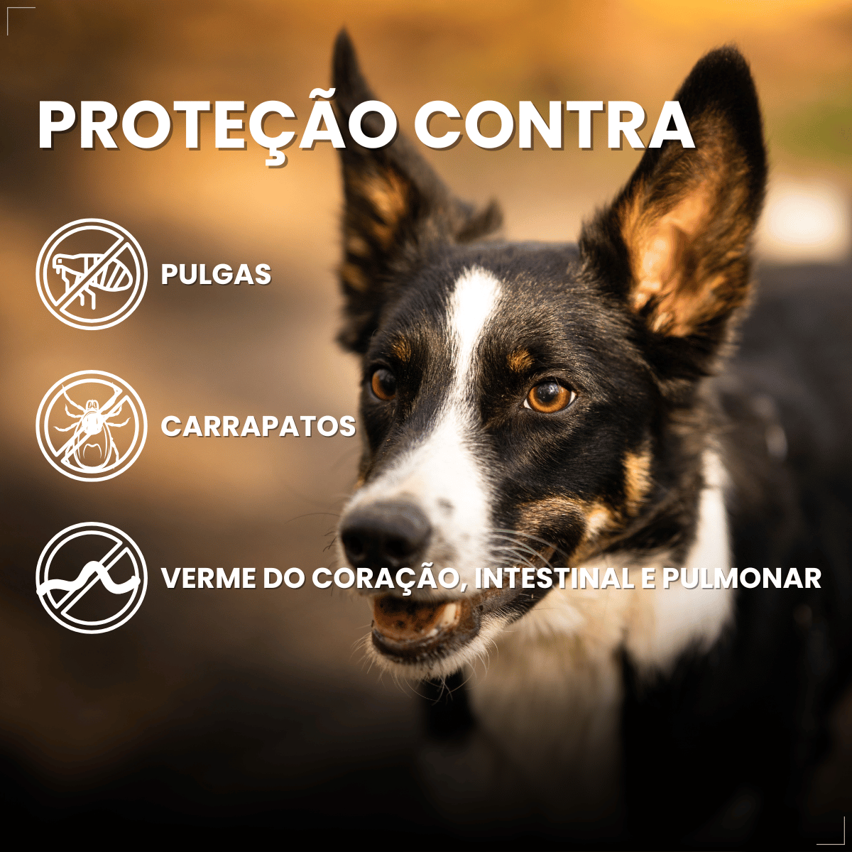 Simparic TRIO Cão 10,1 a 20kg Vermífugo Pulga Carrapato 1 Comprimido