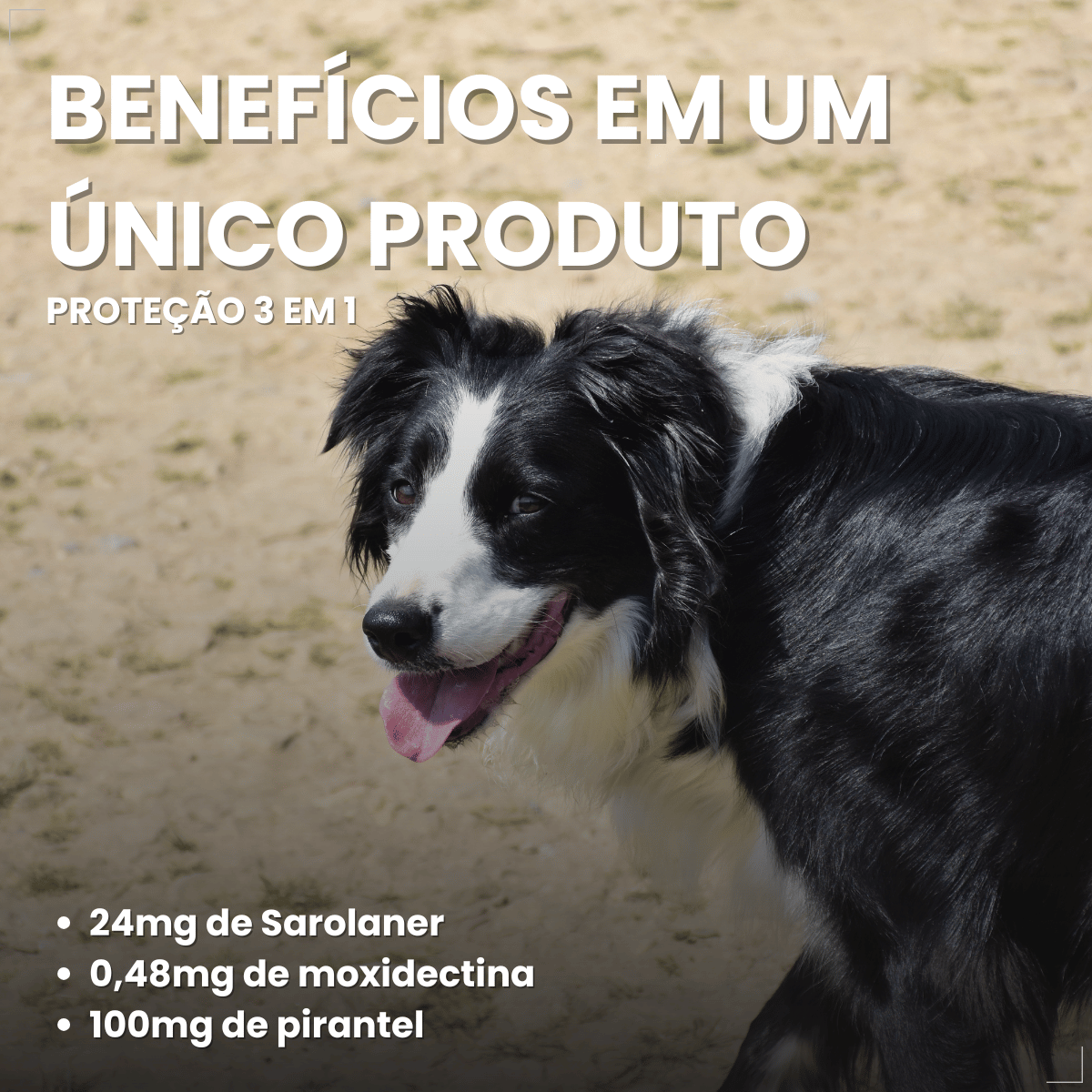 Simparic TRIO Cão 10,1 a 20kg Vermífugo Pulga Carrapato 1 Comprimido