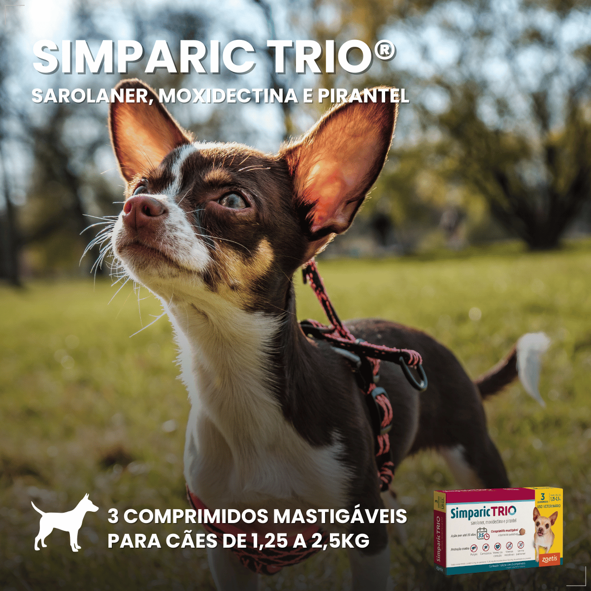 Simparic TRIO Cão 1,25 a 2,5kg Vermífugo Pulga Carrapato 3 Comprimidos