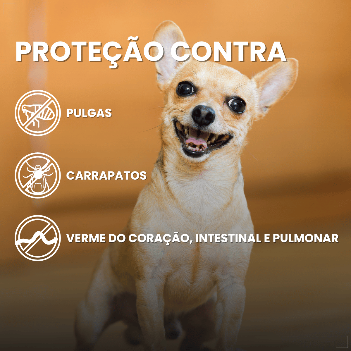 Simparic TRIO Cão 1,25 a 2,5kg Vermífugo Pulga Carrapato 3 Comprimidos