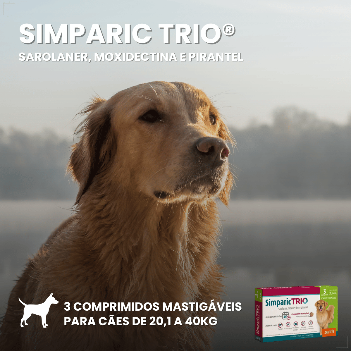 Simparic TRIO Cão 20,1 a 40kg Vermífugo Pulga Carrapato 3 Comprimidos
