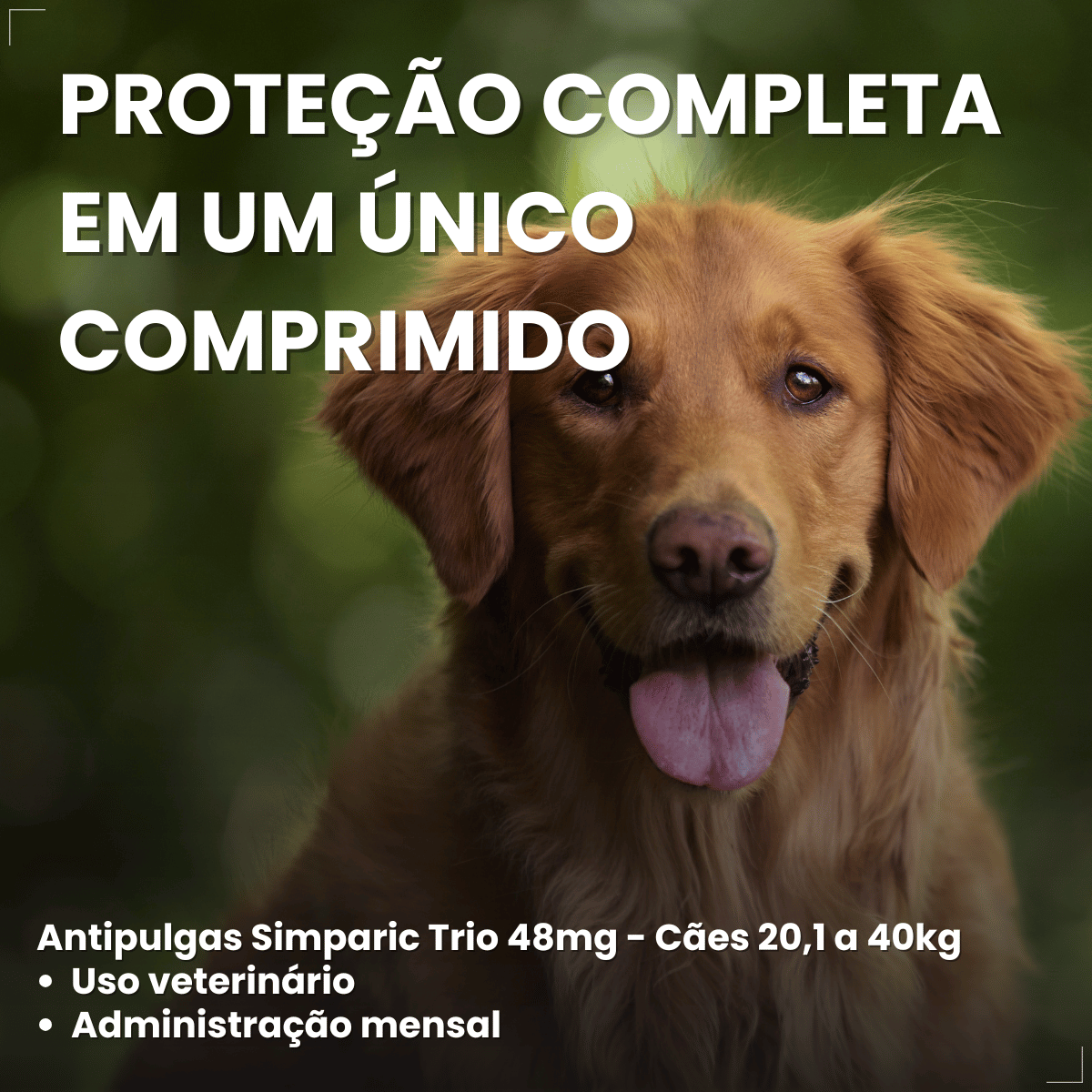 Simparic TRIO Cão 20,1 a 40kg Vermífugo Pulga Carrapato 1 Comprimido