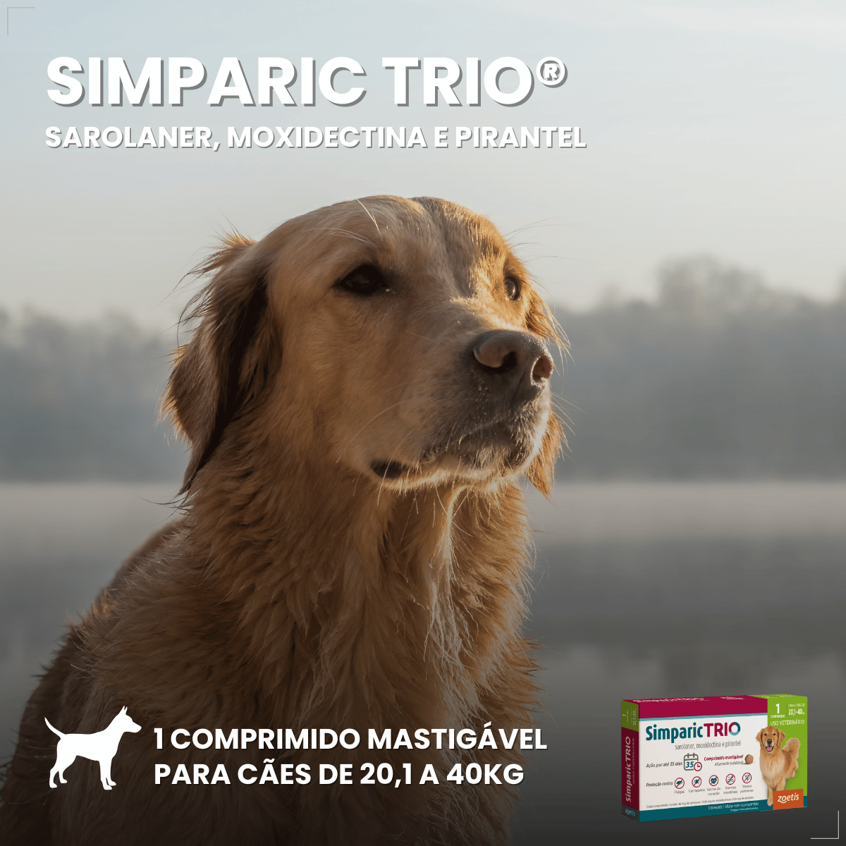 Simparic TRIO Cão 20,1 a 40kg Vermífugo Pulga Carrapato 1 Comprimido
