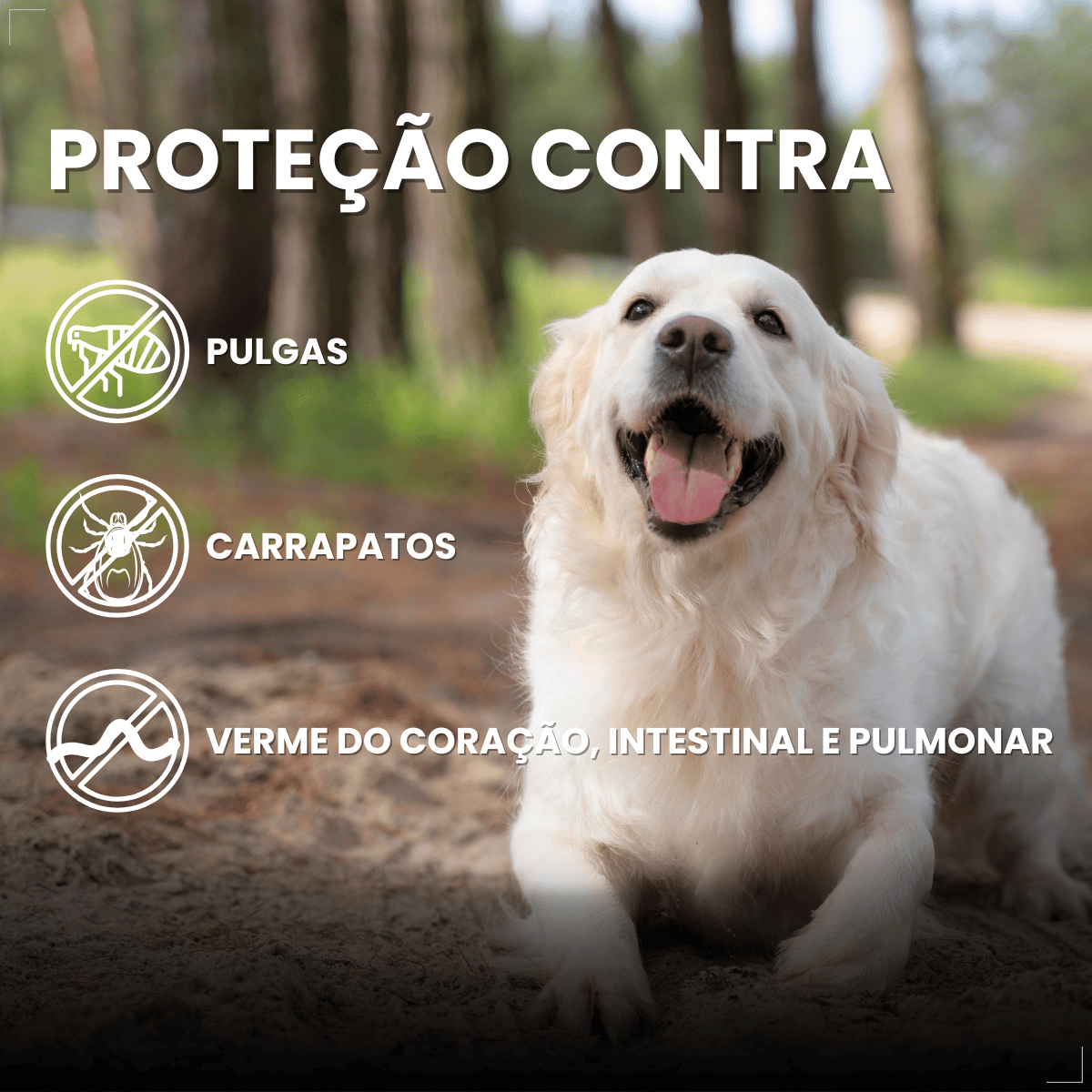 Simparic TRIO Cão 20,1 a 40kg Vermífugo Pulga Carrapato 3 Comprimidos