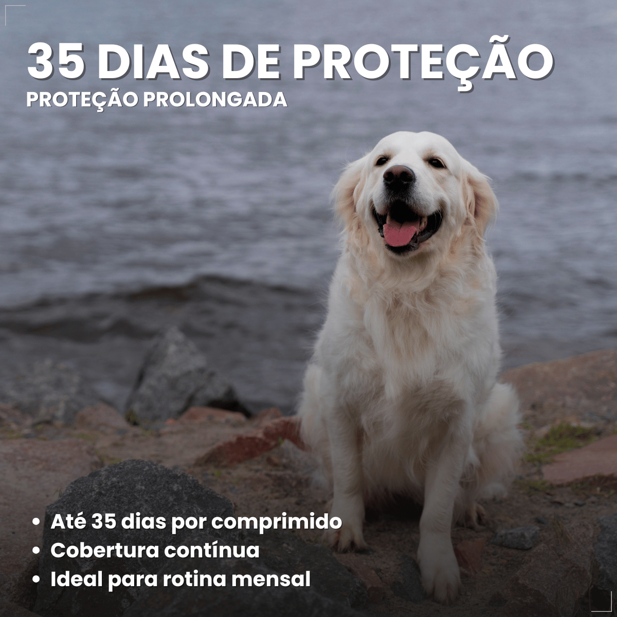 Simparic TRIO Cão 20,1 a 40kg Vermífugo Pulga Carrapato 3 Comprimidos