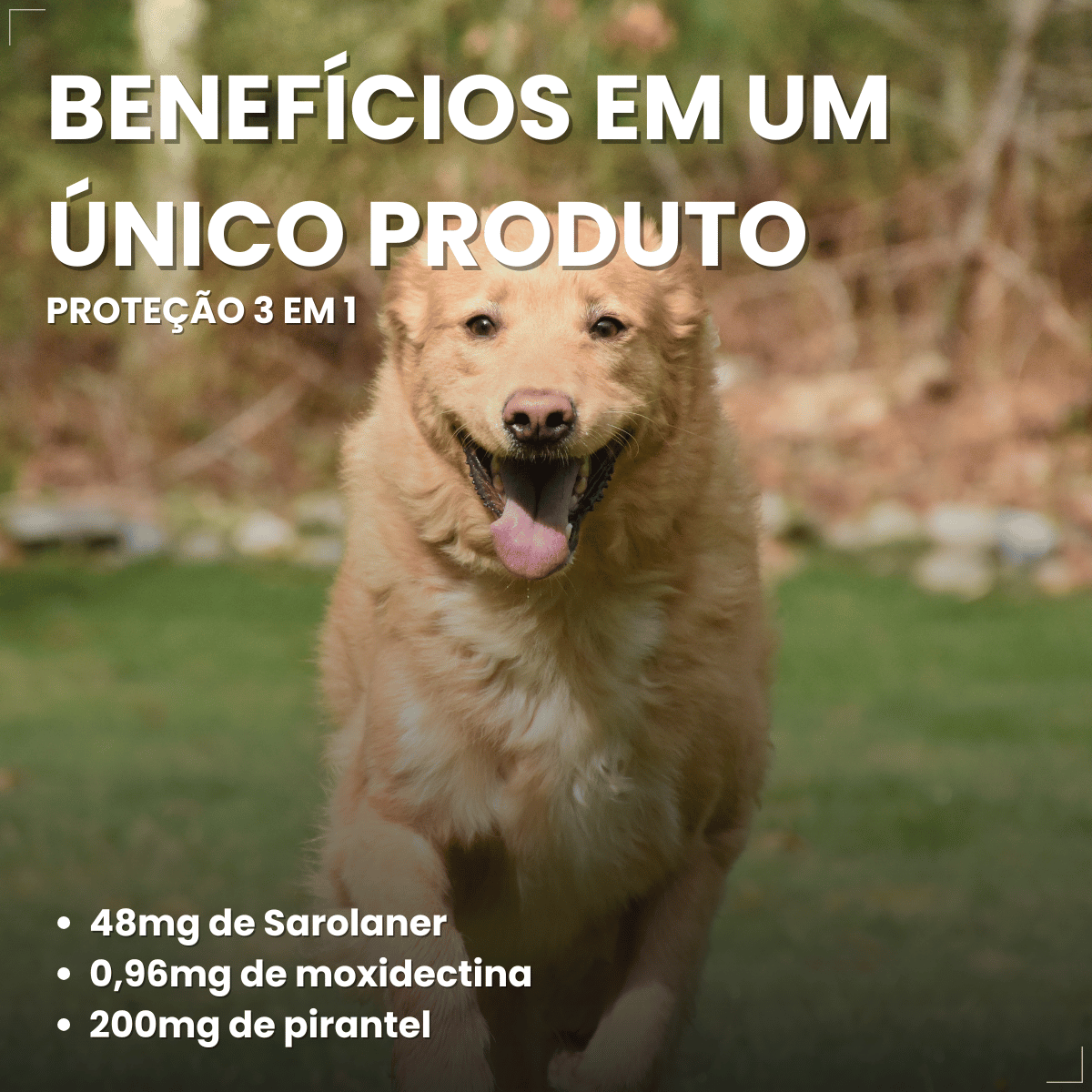 Simparic TRIO Cão 20,1 a 40kg Vermífugo Pulga Carrapato 1 Comprimido