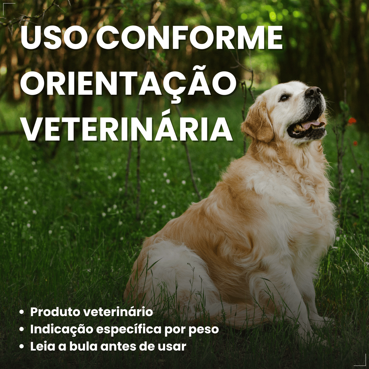 Simparic TRIO Cão 20,1 a 40kg Vermífugo Pulga Carrapato 3 Comprimidos