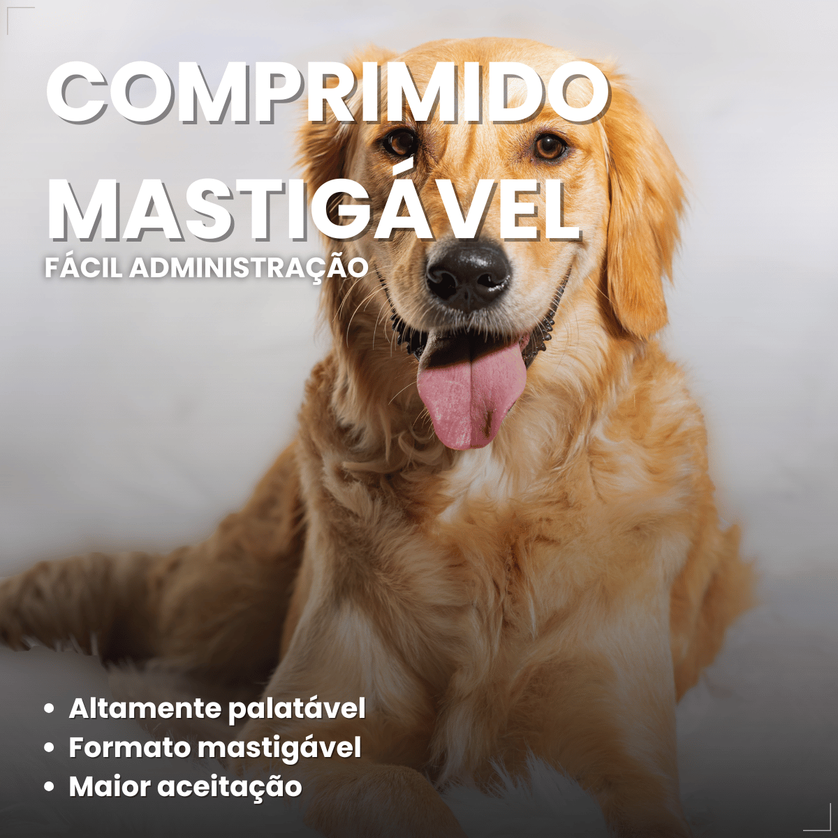 Simparic TRIO Cão 20,1 a 40kg Vermífugo Pulga Carrapato 3 Comprimidos