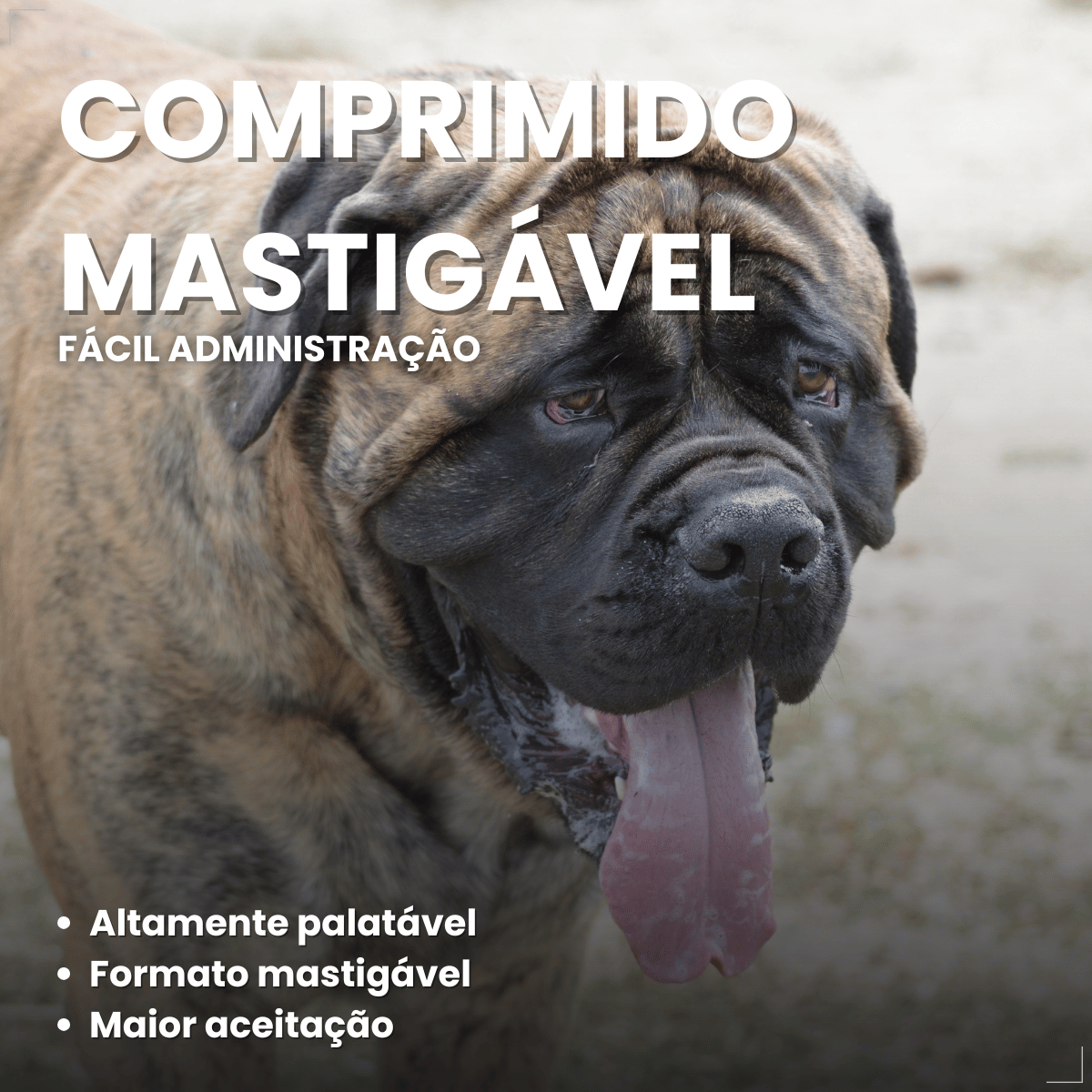 Simparic TRIO Cão 40,1 a 60kg Vermífugo Pulga Carrapato 1 Comprimido