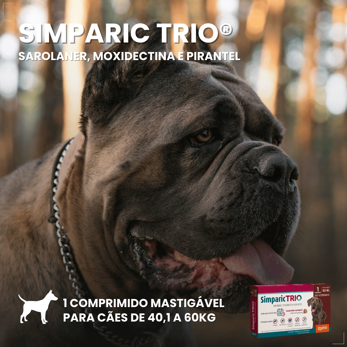 Simparic TRIO Cão 40,1 a 60kg Vermífugo Pulga Carrapato 1 Comprimido